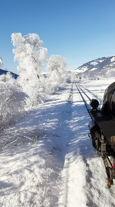 ALT text English Steam locomotive travels past snow-covered trees through a winter mountain landscape in Pinzgau. | © Florian Knapp