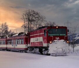 Pinzgauer Lokalbahn fährt bei tief stehender Sonne durch eine verschneite Winterlandschaft. | © Florian Knapp