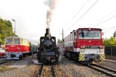 Drei Lokomotiven stehen nebeneinander auf Gleisen, mittig eine schwarze Dampflokomotive mit aufsteigender Rauchfahne. | © Florian Knapp