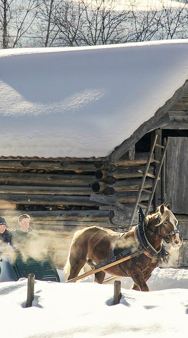 Horse-drawn sleigh rides in Piesendorf Niedernsill | © TVB Piesendorf Niedernsill, Foto Harry Liebmann