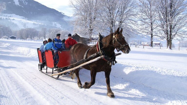 Pferd zieht einen roten Schlitten mit mehreren Fahrgästen über einen verschneiten Weg in Piesendorf-Niedernsill. | © TVB Piesendorf Niedernsill, Foto Harry Liebmann