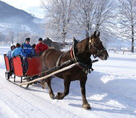Unwind and enjoy the snow-covered winter landscape on a romantic horse-drawn sleigh ride | © TVB Piesendorf Niedernsill, Foto Harry Liebmann