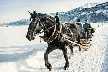 Horse pulling a sleigh with two people through the snowy landscape of Piesendorf Niedernsill. | © TVB Piesendorf Niedernsill, Foto Harry Liebmann