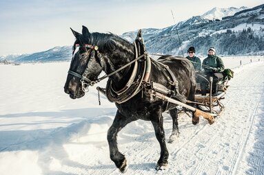 Pferd zieht einen Schlitten mit zwei Personen durch die verschneite Landschaft von Piesendorf Niedernsill. | © TVB Piesendorf Niedernsill, Foto Harry Liebmann
