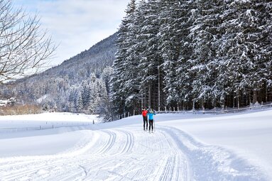 Two people cross-country skiing on a groomed trail between snow-covered meadows and forest. | © Ferienregion Nationalpark Hohe Tauern, Foto Michael Huber