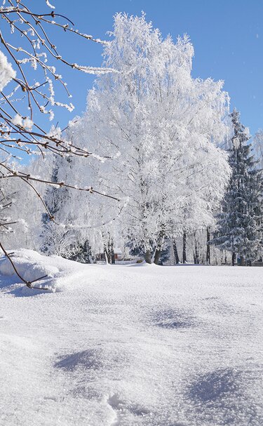 Enjoy the sun along the winter hiking trails | © TVB Piesendorf Niedernsill, Foto Harry Liebmann