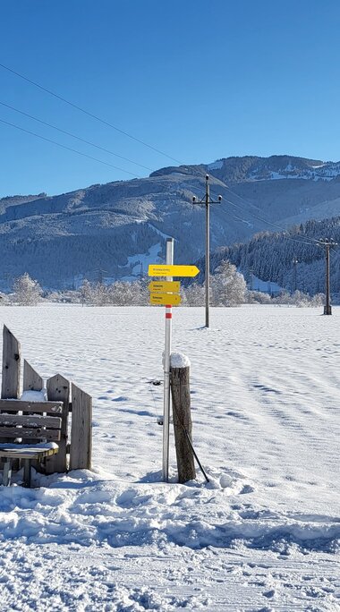 Wooden bench and signpost beside a snowy path, with forested mountain slopes in the background. | © TVB Piesendorf Niedernsill