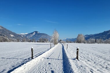 Winter hiking in Piesendorf Niedernsill | © TVB Piesendorf Niedernsill