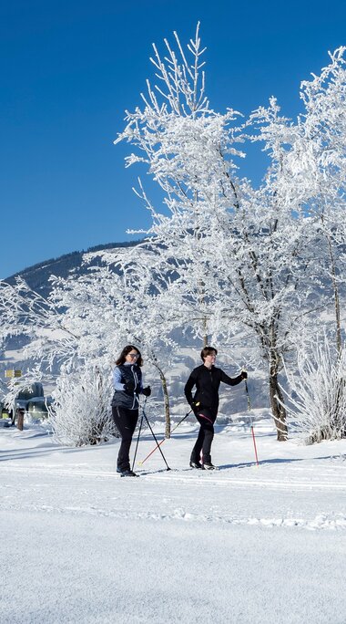 Two people cross-country skiing among snow-covered trees with snowy mountain slopes in the background. | © Lichtfarben