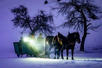 Two horses with an illuminated sleigh carrying several people in a snowy landscape in the evening. | © TVB Piesendorf Niedernsill, Foto Lichtfarben 