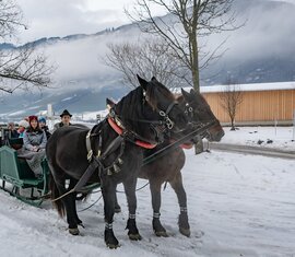 Two horses pulling a sleigh with passengers on a snowy road, with cloud-covered mountain slopes behind them. | © TVB Piesendorf Niedernsill, Foto Lichtfarben 