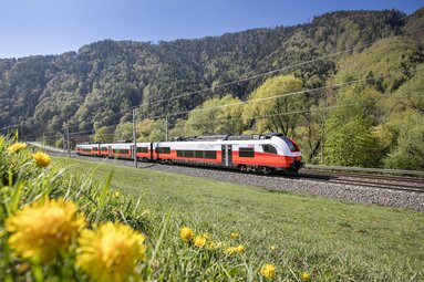 ÖBB Cityjet on a railway line between green meadows and forested mountain slopes, with yellow flowers in the foreground. | © ÖBB / Harald Eisenberger