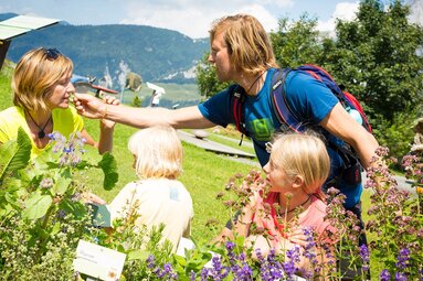 Familie entdeckt Kräuter und blühende Pflanzen am Berg der Sinne in Leogang vor einer Bergkulisse. | © Leoganger Bergbahnen GmbH, Foto Bause