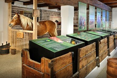 Ausstellung im Noriker Museum mit einem Pferd, Informationstafeln und historischen Holzboxen. | © Nill (Wöckinger)