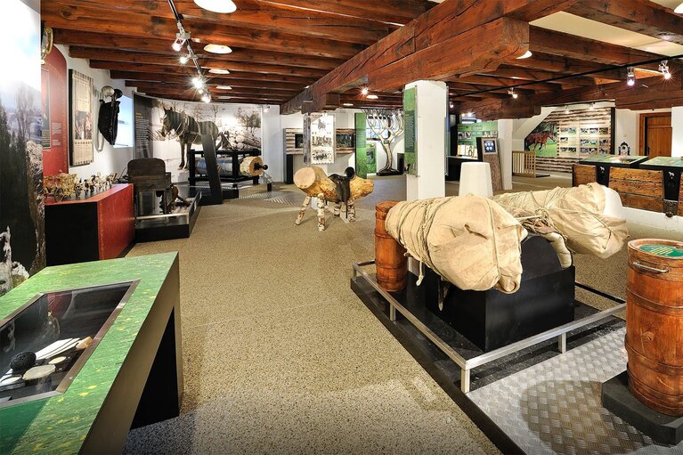 Interior of the Noriker Museum with historical exhibits, horse models, display cases and information panels. | © Nill (Wöckinger)