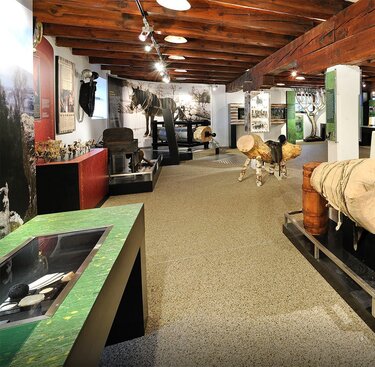 Innenansicht des Noriker Museums mit historischen Exponaten, Pferdemodellen, Vitrinen und Informationstafeln. | © Nill (Wöckinger)