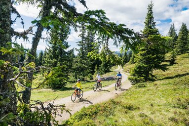 Drei Personen fahren mit Fahrrädern auf einem Schotterweg am Hochsonnberg durch Wiesen und Nadelwald. | © TVB Piesendorf Niedernsill, Foto Harry Liebmann