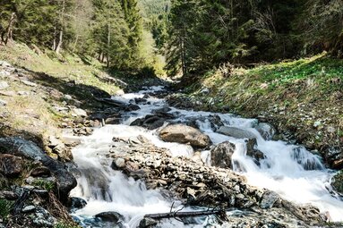 Mountain stream flowing over rocks and stones through a wooded slope in a sunlit mountain landscape. | © TVB Piesendorf Niedernsill, Foto Harry Liebmann 