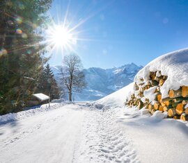 Snow-covered path with a woodpile, conifers and snow-covered mountains in bright sunshine. | © TVB Piesendorf Niedernsill, Foto Harry Liebmann 