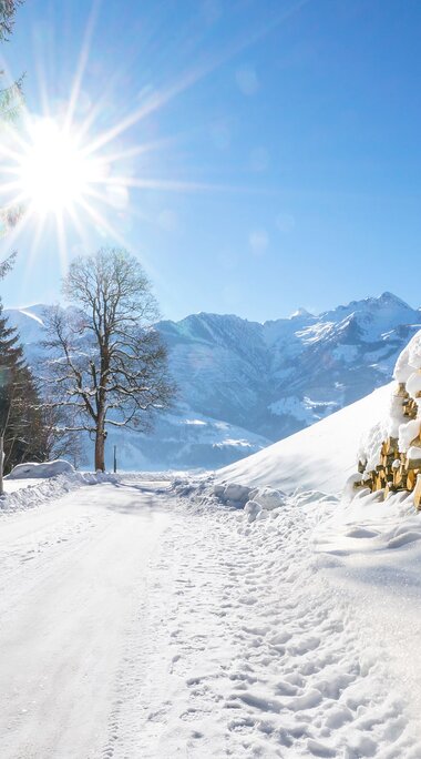 Verschneiter Weg mit Holzstapel, Nadelbäumen und schneebedeckten Bergen bei Sonnenschein. | © TVB Piesendorf Niedernsill, Foto Harry Liebmann 