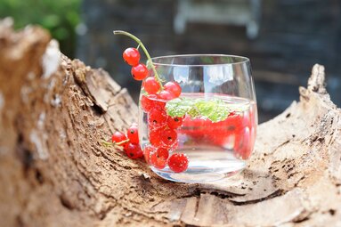 Glass of water with red currants and green leaves, placed on a piece of wood. | © TVB Piesendorf Niedernsill, Foto Harry Liebmann 