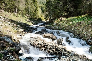 Where the mountain stream rushes ...  | © TVB Piesendorf Niedernsill, Foto Harry Liebmann 