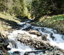 Mountain stream flowing over rocks and stones through a wooded slope in a sunlit mountain landscape. | © TVB Piesendorf Niedernsill, Foto Harry Liebmann 