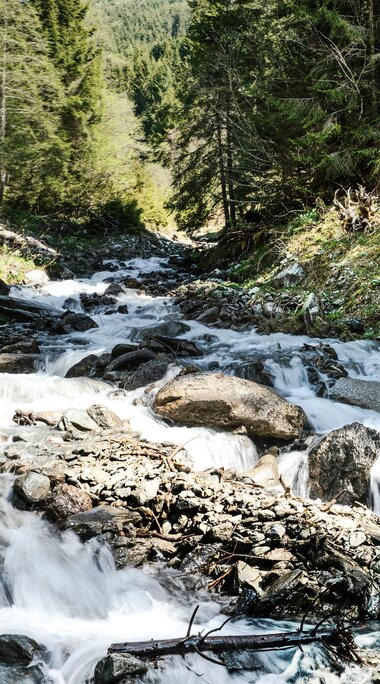 Mountain stream flowing over rocks and stones through a wooded slope in a sunlit mountain landscape. | © TVB Piesendorf Niedernsill, Foto Harry Liebmann 