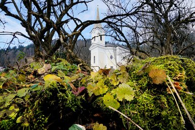 Church in Aufhausen behind moss-covered rocks, leaves and bare branches, with wooded mountain slopes in the background. | © TVB Piesendorf Niedernsill, Foto Harry Liebmann 
