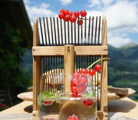 Rote Johannisbeeren auf einem hölzernen Beerenkamm, davor ein Glas mit Beeren und im Hintergrund Berge. | © TVB Piesendorf Niedernsill, Foto Harry Liebmann 