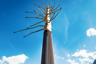 Wort of art "Schlangenbaum" | © TVB Piesendorf Niedernsill, Foto Harry Liebmann