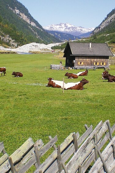 Alpine life in the National Park valleys | © NPHT