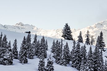 Wintererlebnis im Hollersbachtal | © Foto Rieder