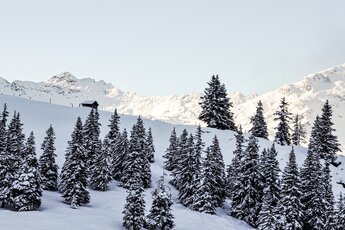 Verschneite Nadelbäume und Berghänge vor schneebedeckten Gipfeln bei Hollersbach. | © Foto Rieder