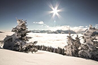 Snow-covered conifers above a sea of clouds, with snowy mountain peaks and sunshine. | © Nationalpark Hohe Tauern, Christian Berauer