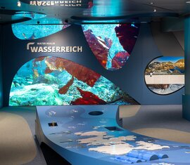 Water Realm exhibition area with underwater images, information panels and interactive elements. | © Ferienregion Nationalpark Hohe Tauern, Foto Franz Reifmüller