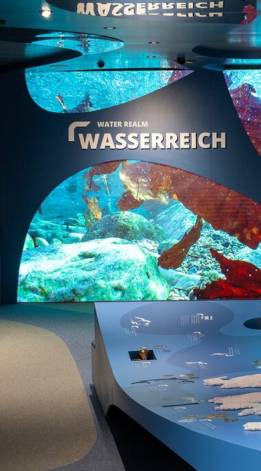 Water Realm exhibition area with underwater images, information panels and interactive elements. | © Ferienregion Nationalpark Hohe Tauern, Foto Franz Reifmüller