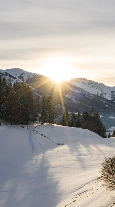 Snow-covered landscape at Naglköpfl with trees and surrounding mountains in low sunlight. | © Ferienregion Nationalpark Hohe Tauern, Foto David Innerhofer