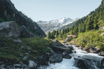 Gebirgsbach im Wildgerlostal zwischen Felsen und Nadelwald, im Hintergrund schnee- und eisbedeckte Berge. | © Ferienregion Nationalpark Hohe Tauern, Foto Daniel Kogler 