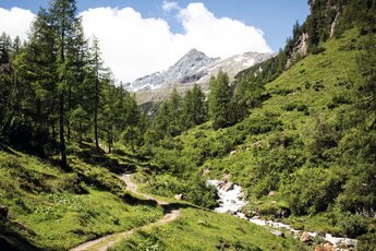 Wanderweg und Bergbach im Seidlwinkltal führen durch grünes Gelände und Lärchenwald in Richtung felsiger Berggipfel. | © TVB Rauris, Foto Florian Bachmeier