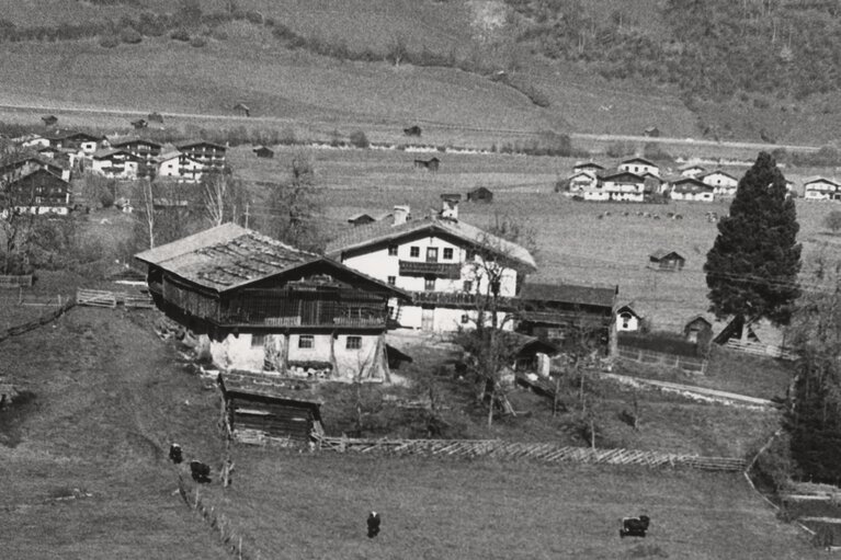Historischer Pinzgauer Gruppenhof Oberbichl mit mehreren Gebäuden, Wiesen, Holzzäunen und weidenden Rindern. | © TVB Piesendorf Niedernsill