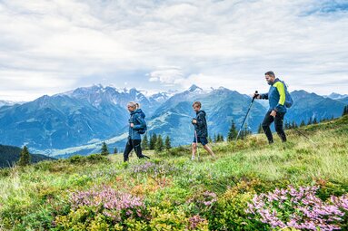 Three people hike through alpine vegetation on Hochsonnberg, with the Hohe Tauern mountains in the background. | © TVB Piesendorf Niedernsill, Foto Harry Liebmann 