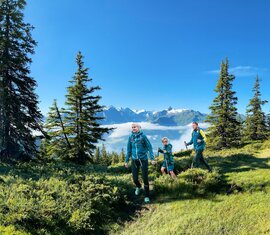 Drei Personen wandern mit Rucksäcken und Wanderstöcken zwischen Nadelbäumen, im Hintergrund Berge und Wolken im Tal. | © TVB Piesendorf Niedernsill, Foto Harry Liebmann 