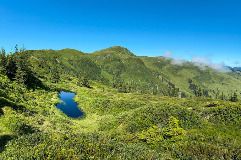 Wetterlacke at Hochsonnberg surrounded by green mountain slopes and conifers under a blue sky. | © TVB Piesendorf Niedernsill, Foto Harry Liebmann 