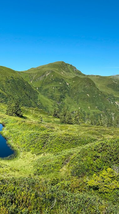 Small lake in the middle of the Kitzbüheler Alpen/Pinzgauer Grasberge | © TVB Piesendorf Niedernsill, Foto Harry Liebmann 