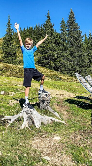 Familie bei einer Wanderpause auf einer Bergwiese mit Fernglas und Wanderstöcken, im Hintergrund Wald und Berge. | © TVB Piesendorf Niedernsill, Foto Harry Liebmann 