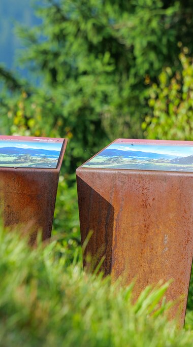 Drei Informationstafeln mit Landschaftsbildern stehen zwischen Gräsern und Bäumen am Hang. | © Brcina Photography