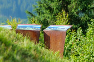 Drei Informationstafeln mit Landschaftsbildern stehen zwischen Gräsern und Bäumen am Hang. | © Brcina Photography