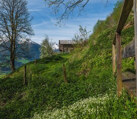 Panorama trail in Piesendorf with wooden railing, green hillside and wooden hut against a mountain backdrop. | © Brcina Photography