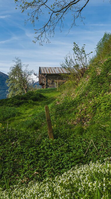 Panorama trail in Piesendorf with wooden railing, green hillside and wooden hut against a mountain backdrop. | © Brcina Photography